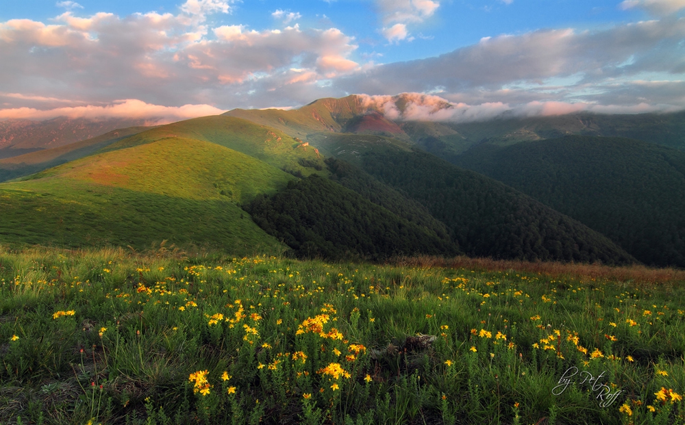 Дълги дял. Стара планина. Връх Амбарица 2166 м