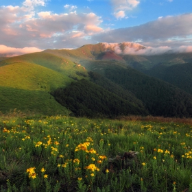 Дълги дял. Стара планина. Връх Амбарица 2166 м