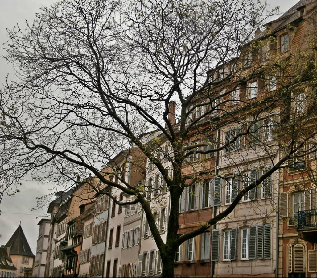 Мъглив дъждовен ден в Страсбург