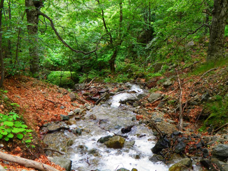 stara planina