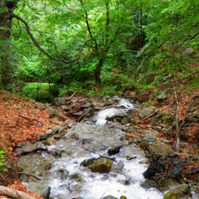 stara planina