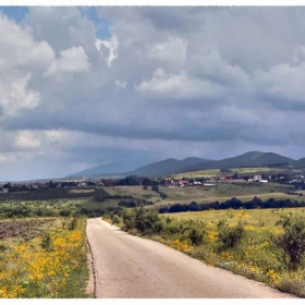 Смрачена панорама