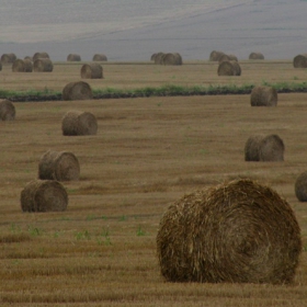 Кълбета