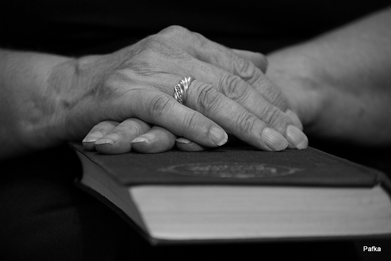 Hands 3
