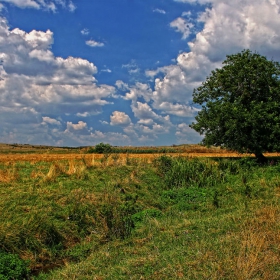 Поглед