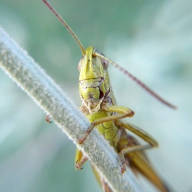 Усмивкааа
