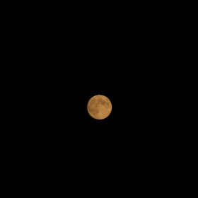 mooooooon