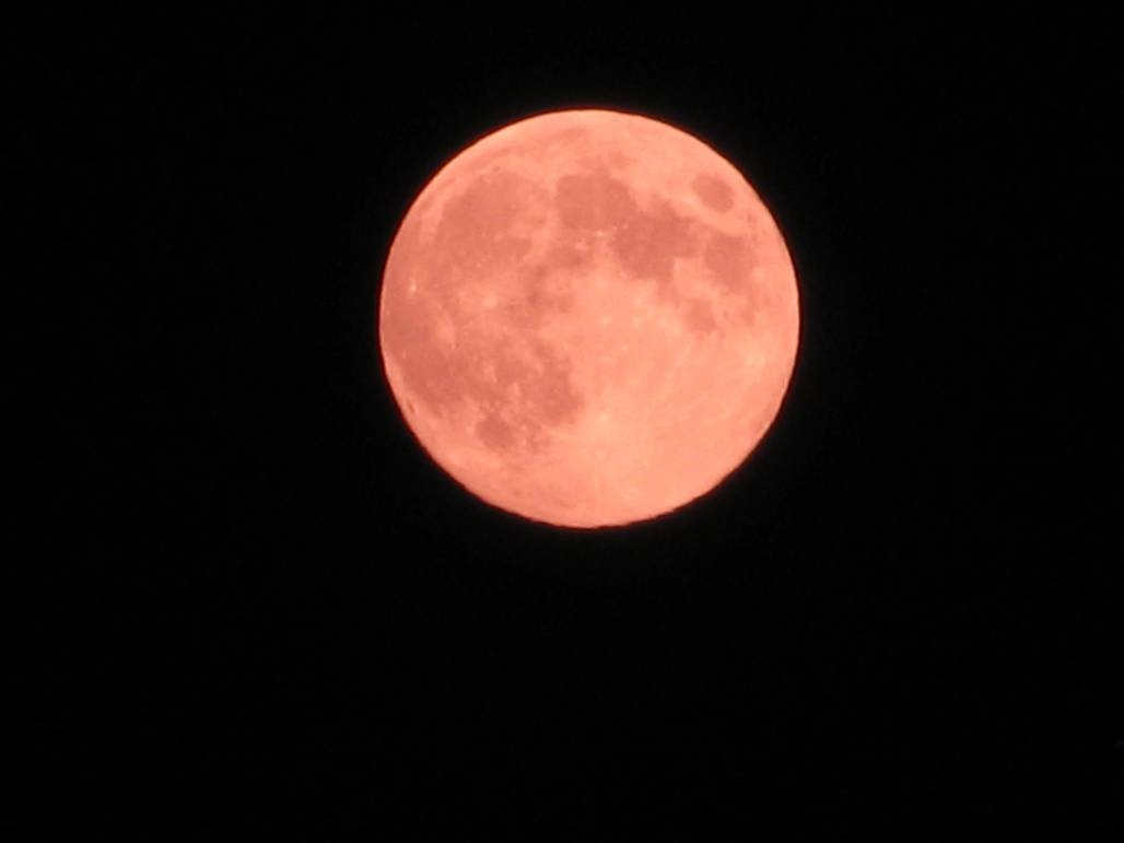 pink moon
