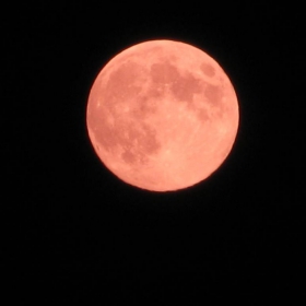 pink moon