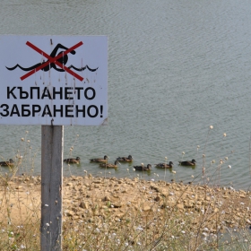 НАРУШИТЕЛИ