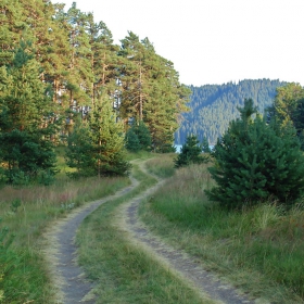 на широка пляна