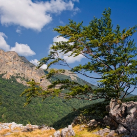 Старопланински гледки - от скалата