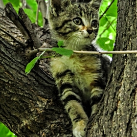 Какво ли има там???