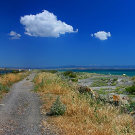 Поморийска панорама