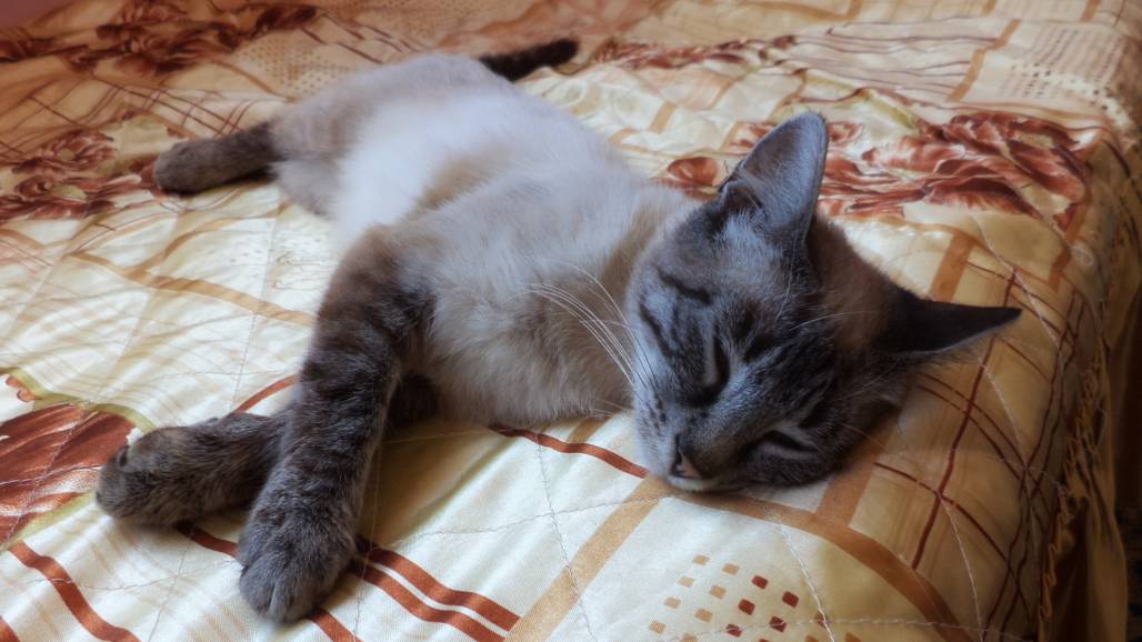 Катрин :*