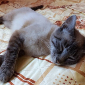 Катрин :*