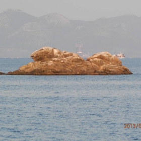 морският лъв