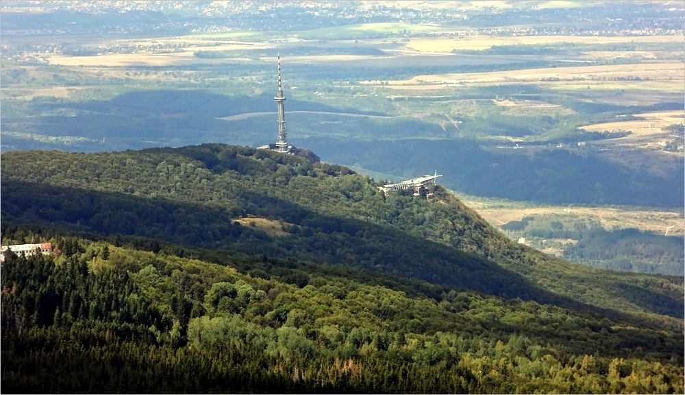 Поглед