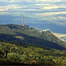 Поглед