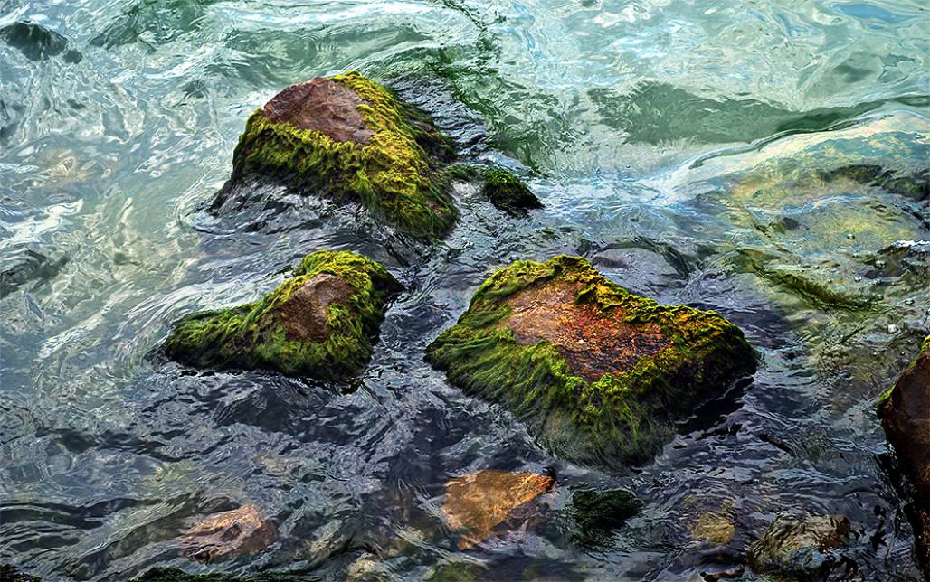 ripple