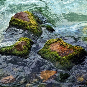 ripple