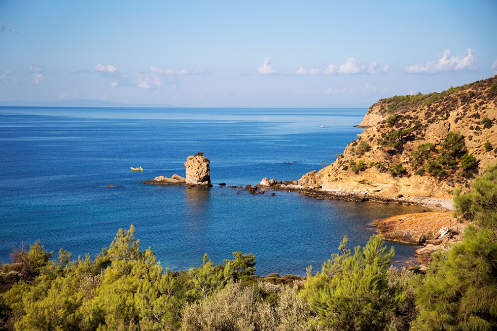 Mediterranea