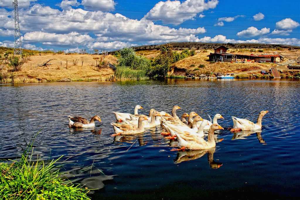 Язовирски пейзаж