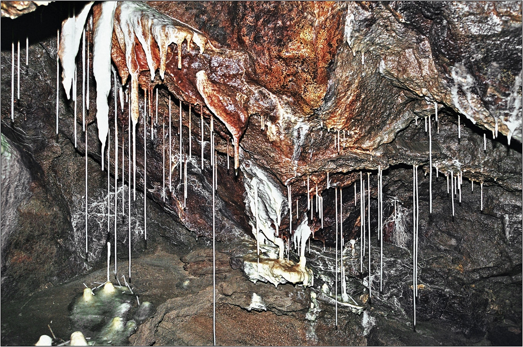 Арфата на Орфей