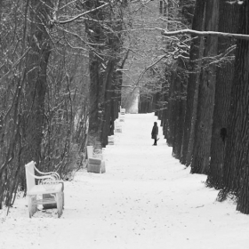 В парке