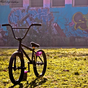 BMX