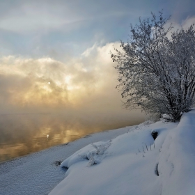 Аnd slowly immersion in fog...