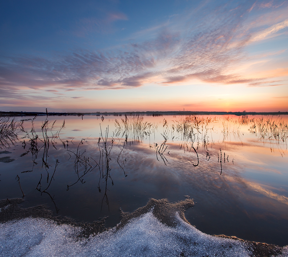 Frosted awakening