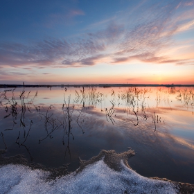 Frosted awakening