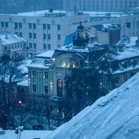 и елхата дочака снегът