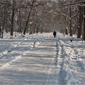 По алеята