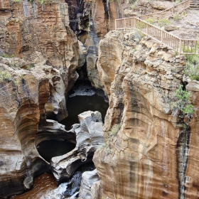 south africa -pathway