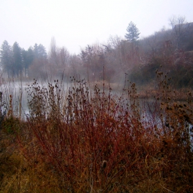 Р. Златна Панега 