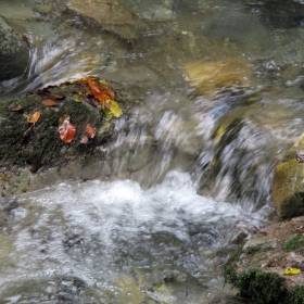 Вода.