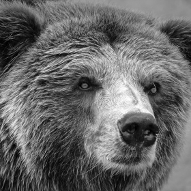 Снимка без име