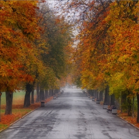 Есен в парка