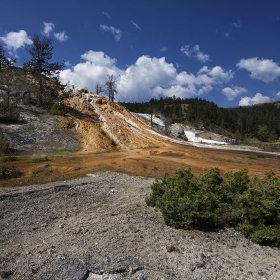 Yellowstone NP