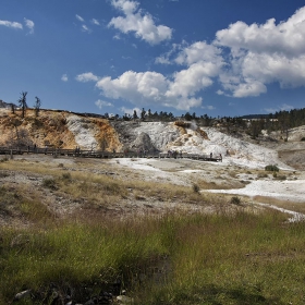 Yellowstone NP