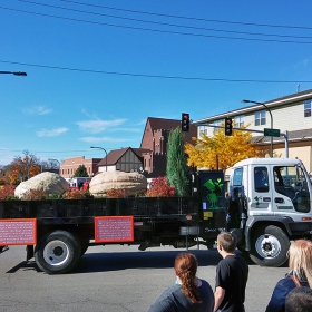 Тиквест шампион ( 563 kg)