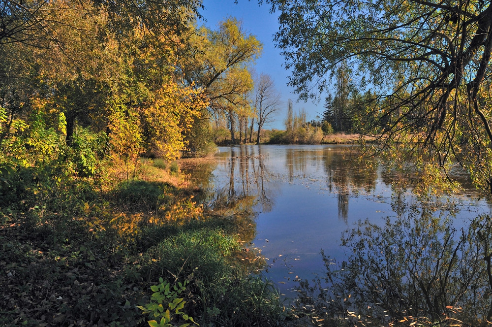 Релакс