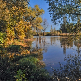 Релакс