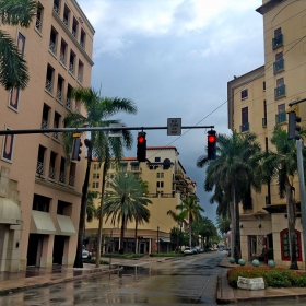 Miami in the Rain