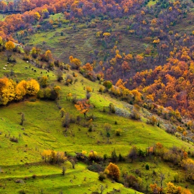 Eсенни мотиви.