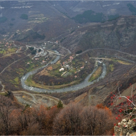 от високо - любимата меандра