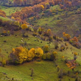 Есен.