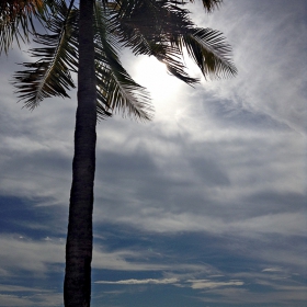 Biscayne Bay